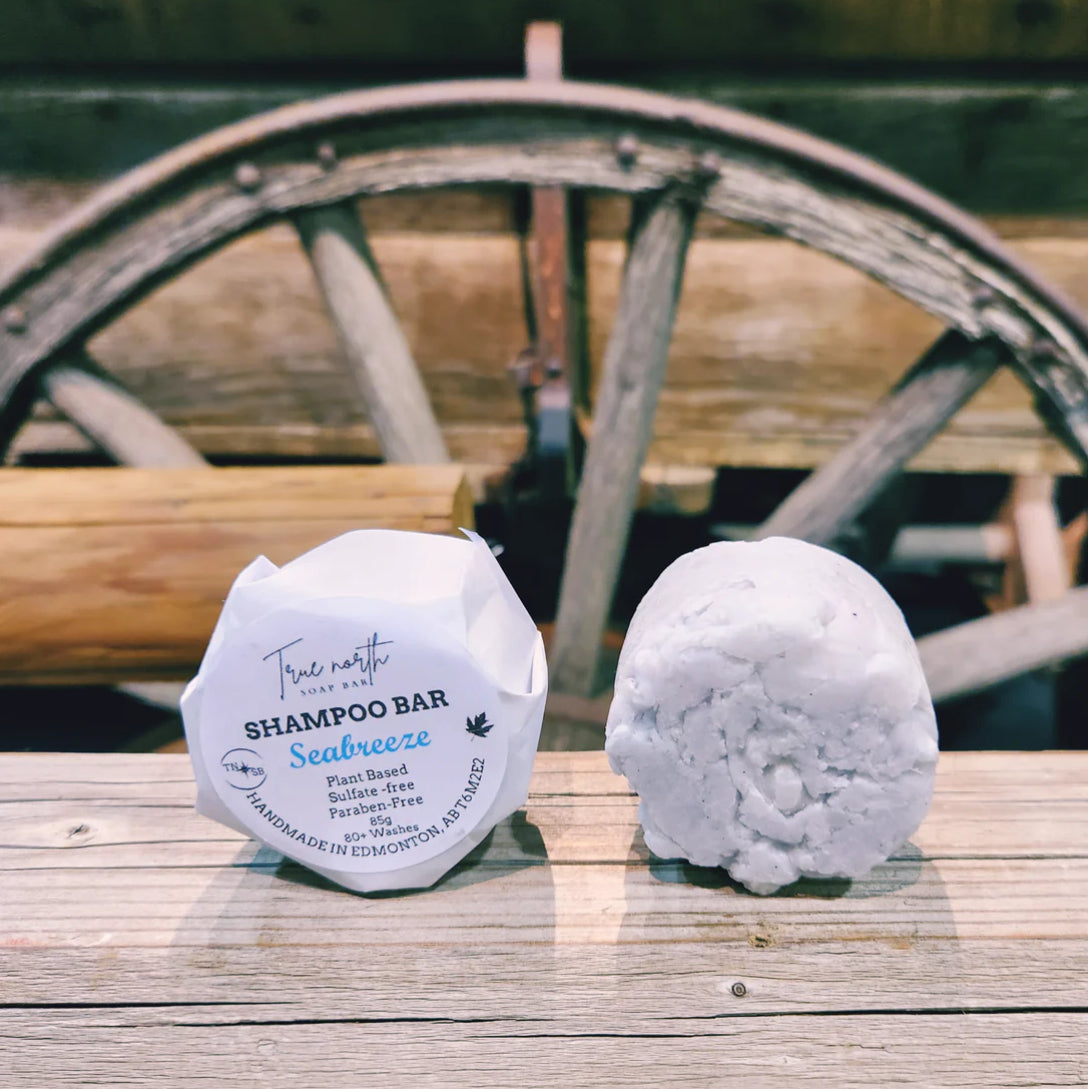 Shampoo bars