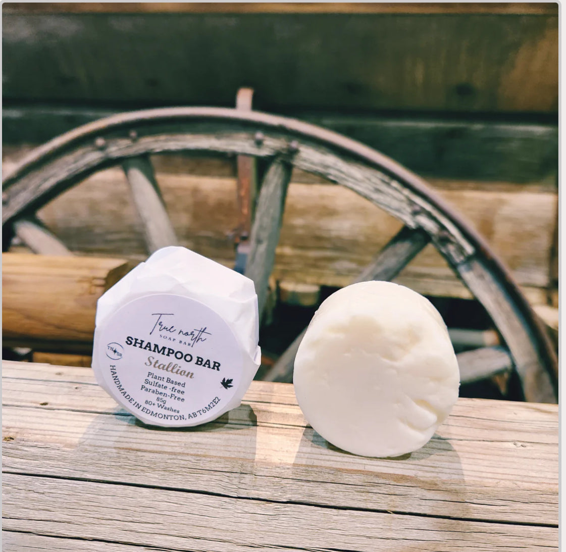 Shampoo bars
