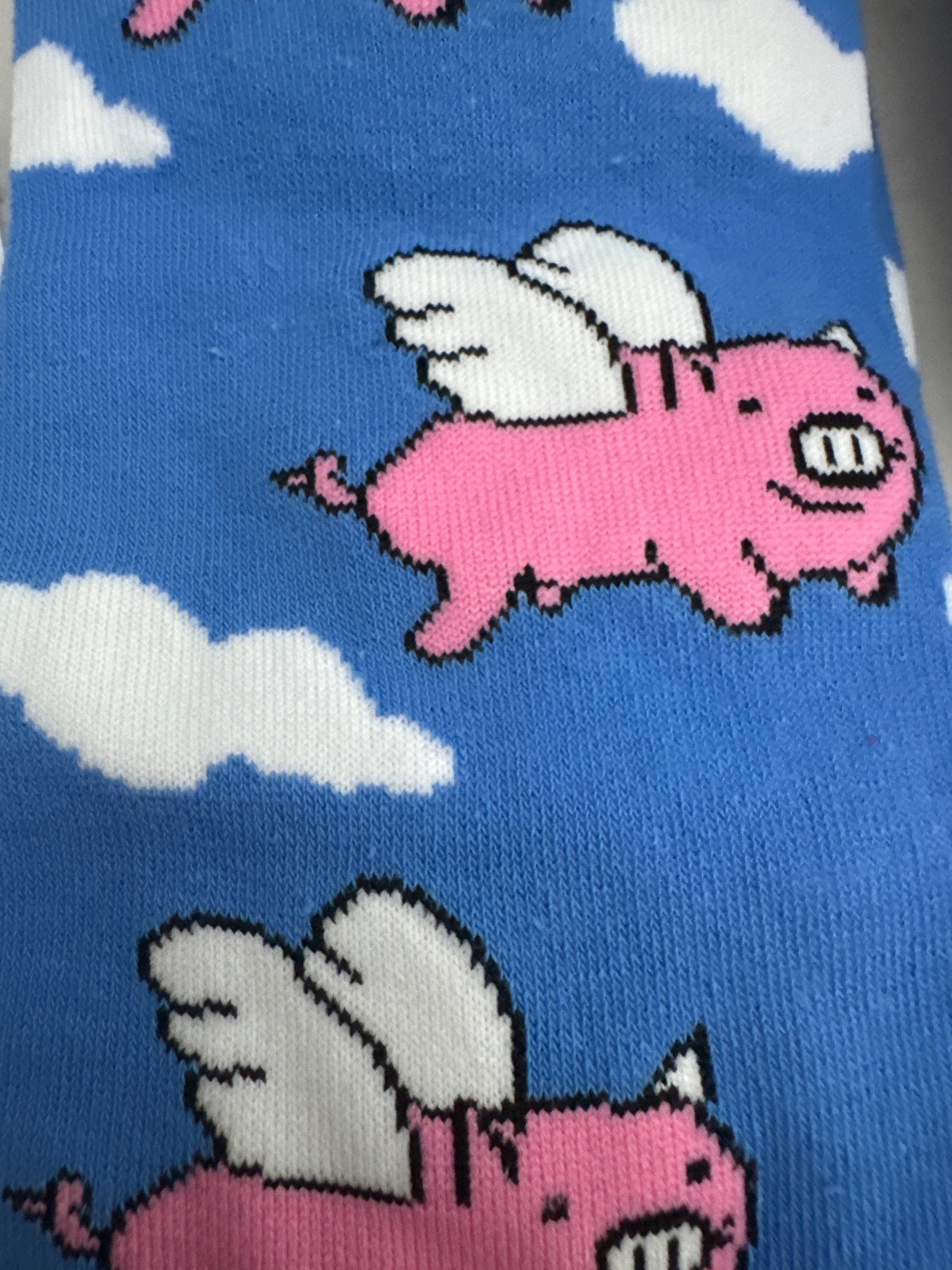 Sock society